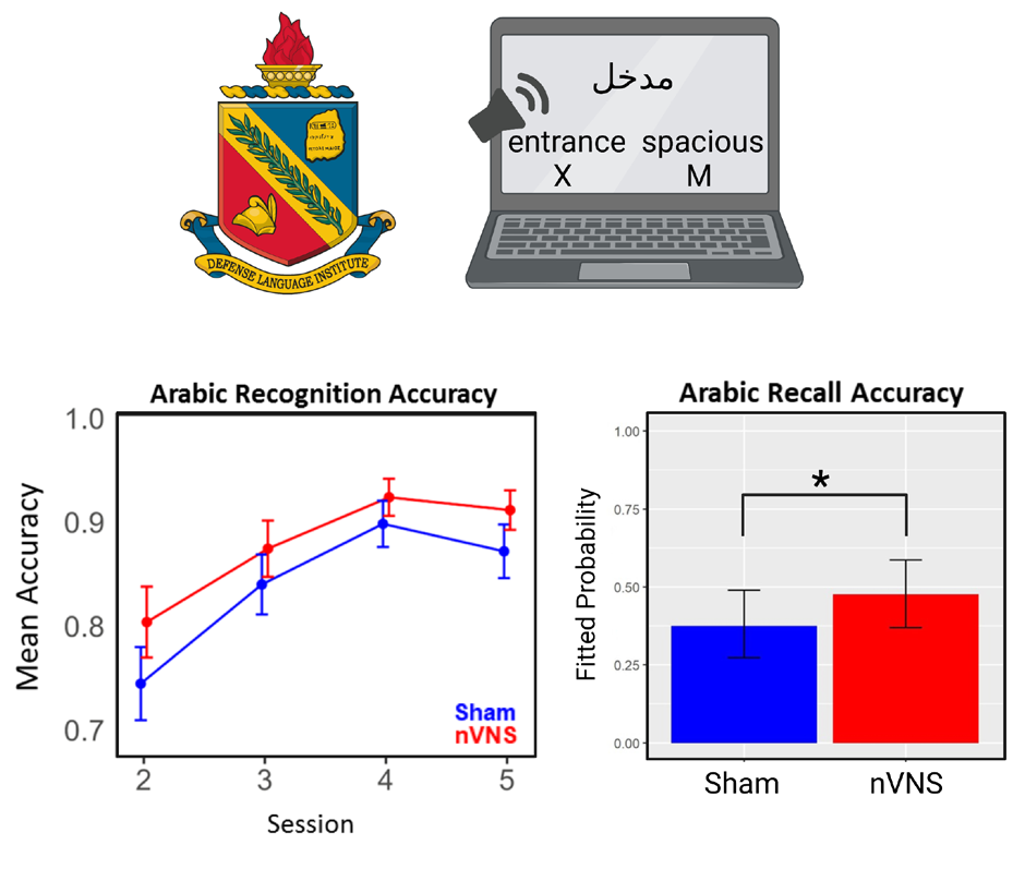 TAC STIM improves Difficult Language Recall and Recognition18